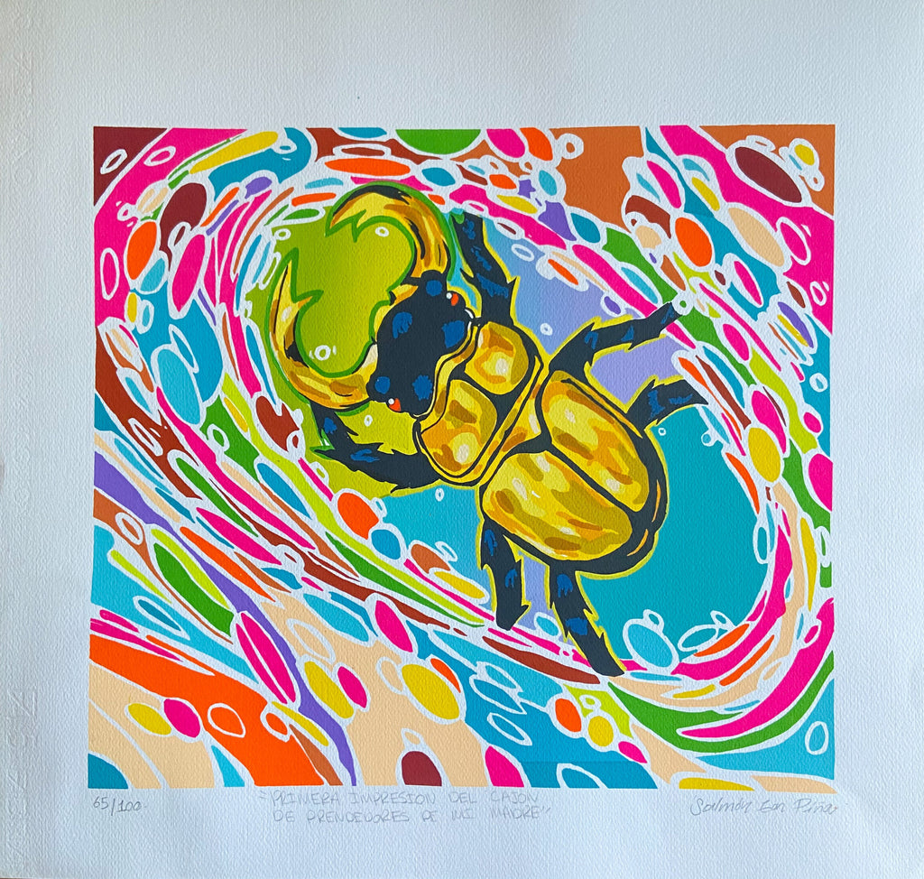 Primera impresión del cajón de prendedores de mi madre